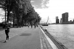 Impressionen-aus-Rotterdam4