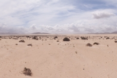 Pano Fuerteventura Wüste Corralejo